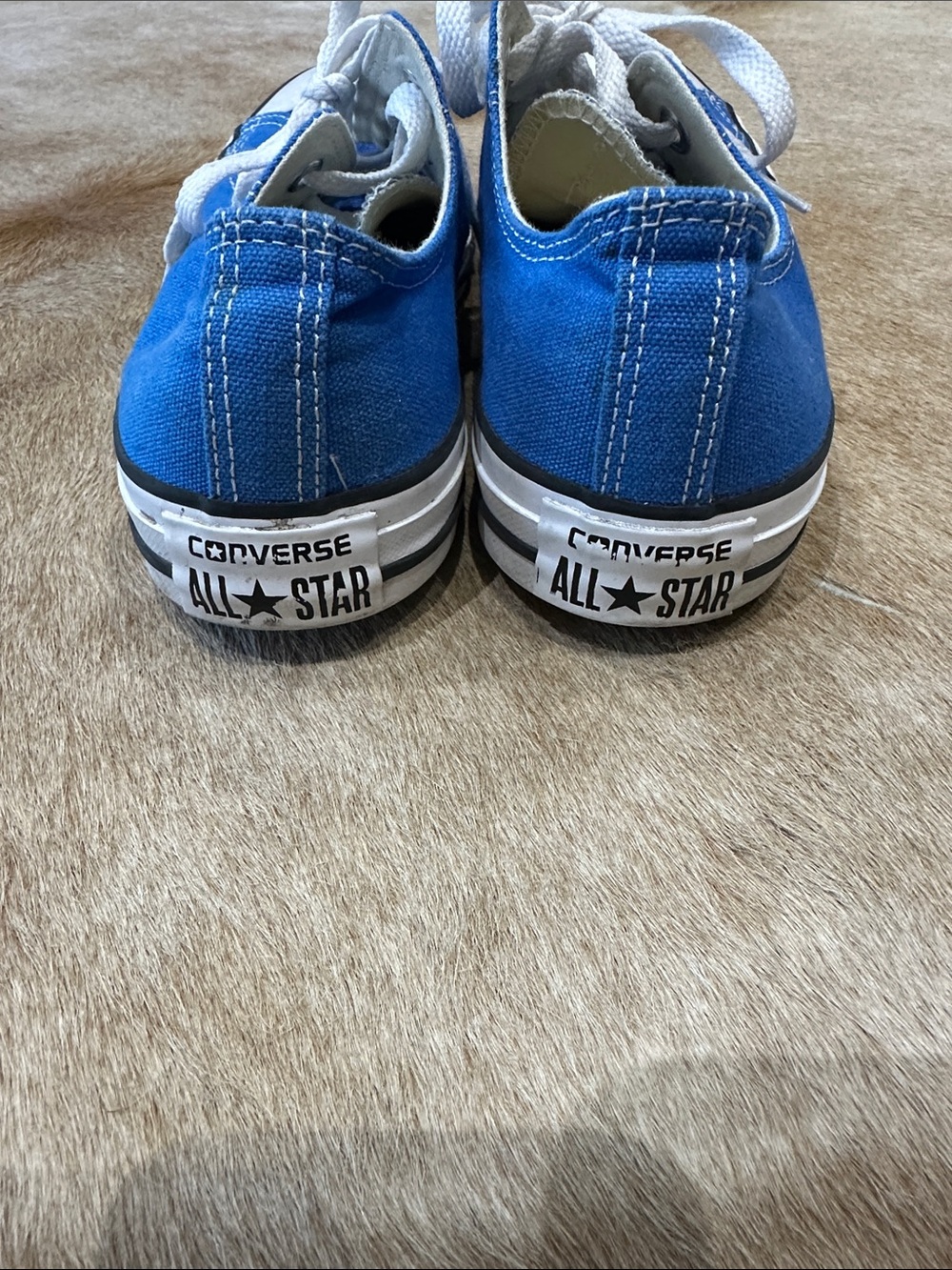 Converse Blue Canvas Low-Top Sneakers with White Accents - Picture 3 of 6